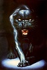 PantherTO